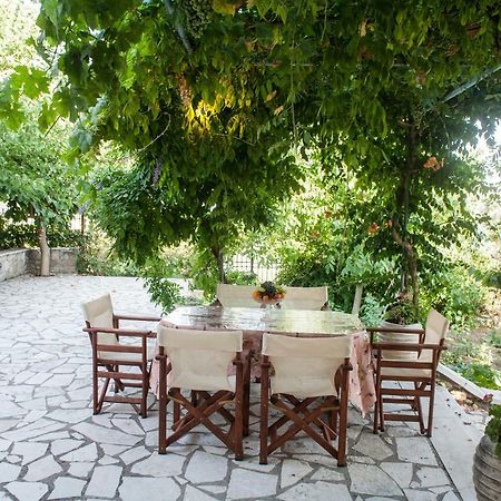 Villa Ilias Pinakokhorion Экстерьер фото