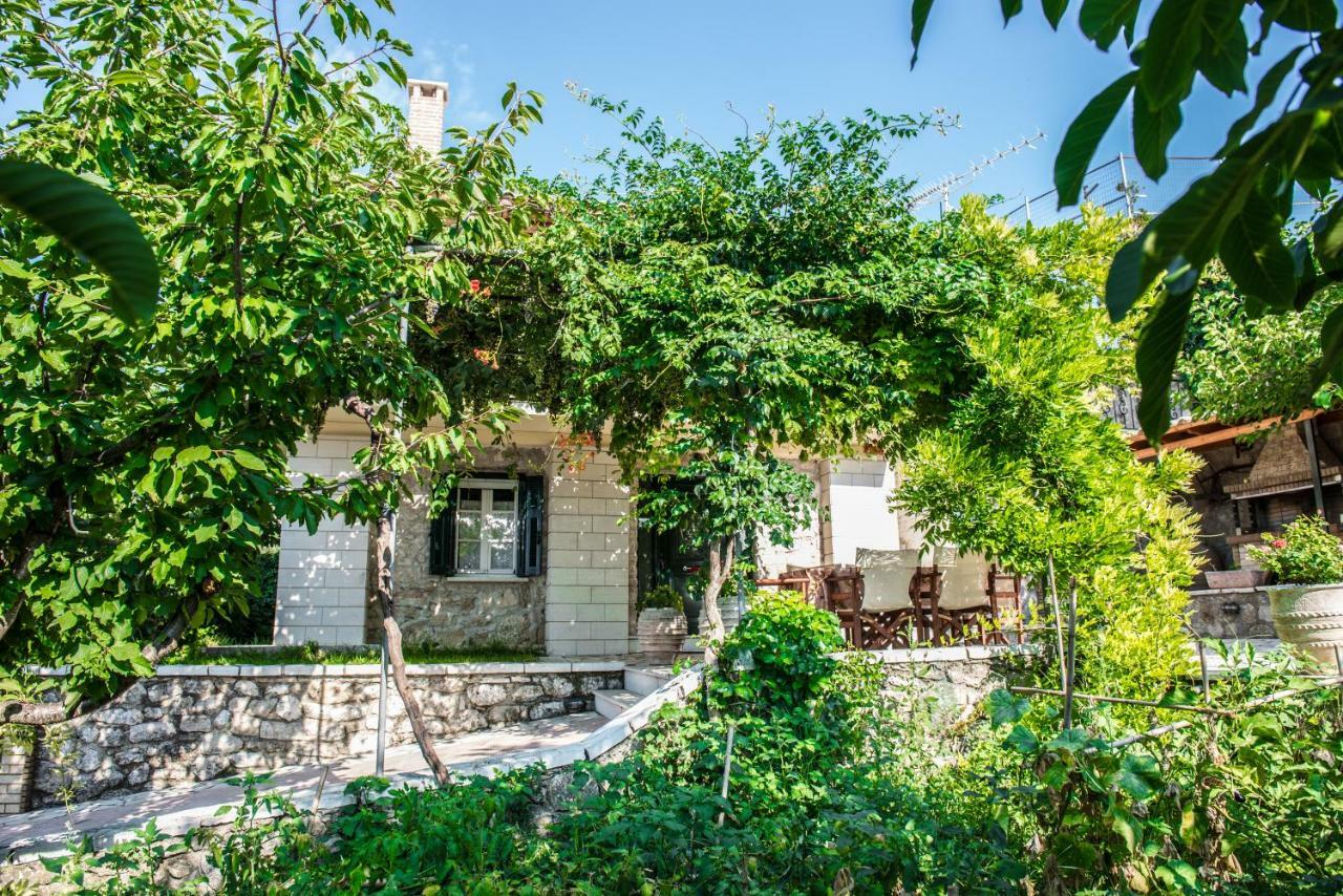 Villa Ilias Pinakokhorion Экстерьер фото