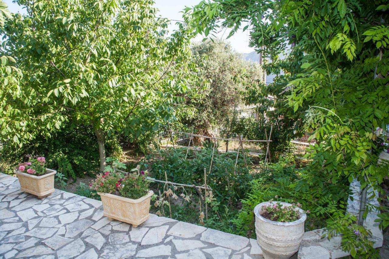 Villa Ilias Pinakokhorion Экстерьер фото