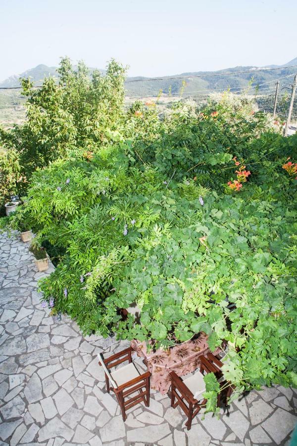 Villa Ilias Pinakokhorion Экстерьер фото