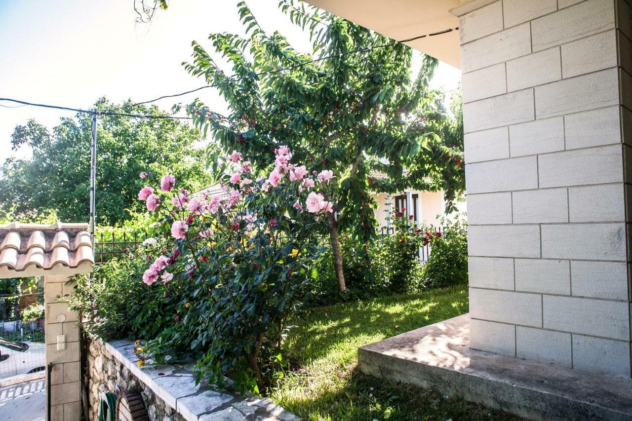Villa Ilias Pinakokhorion Экстерьер фото